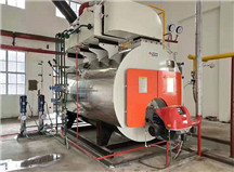 WNS低氮冷凝式燃气蒸汽锅炉